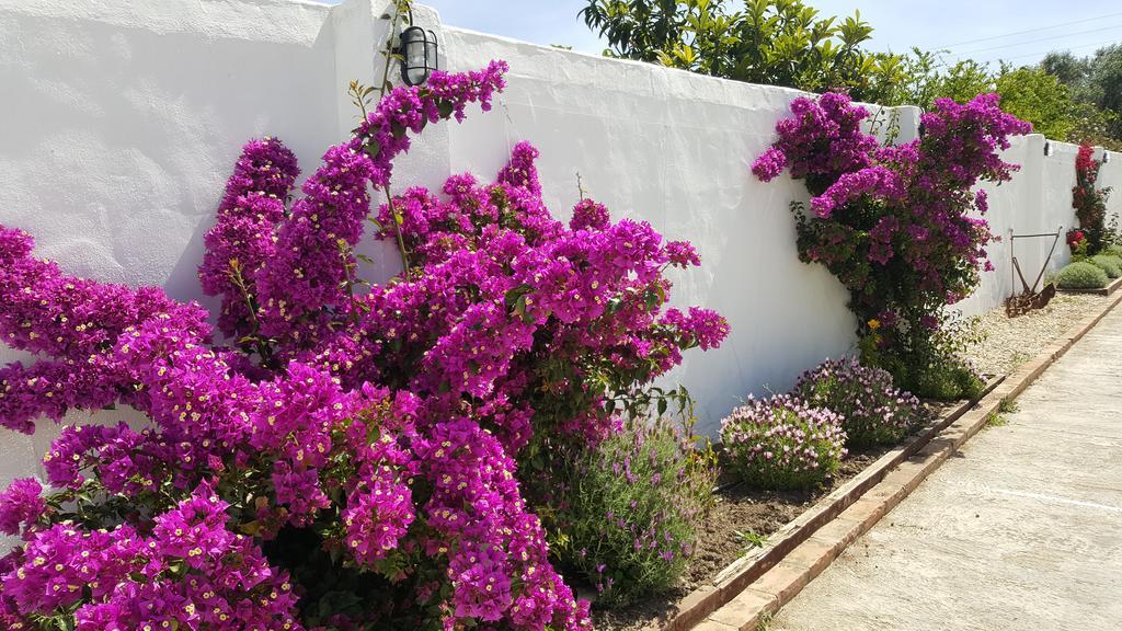 La Posada Del Duende Arcos de la Frontera Exterior foto